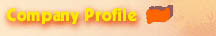 Company Profile